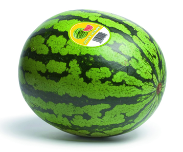 melon